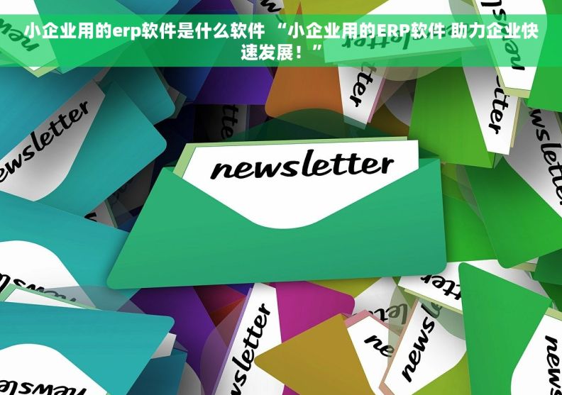 小企业用的erp软件是什么软件 “小企业用的ERP软件 助力企业快速发展！”