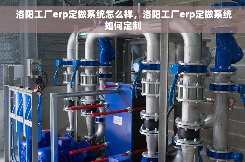  洛阳工厂erp定做系统怎么样，洛阳工厂erp定做系统如何定制