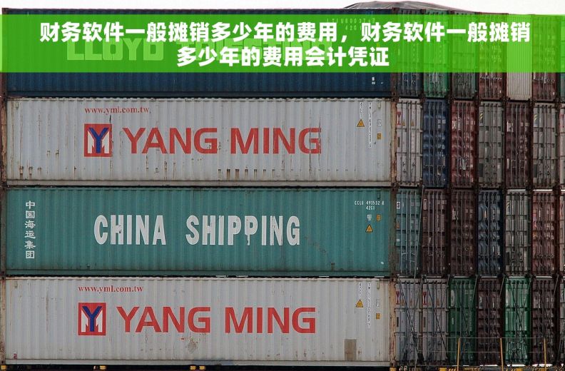 财务软件一般摊销多少年的费用，财务软件一般摊销多少年的费用会计凭证