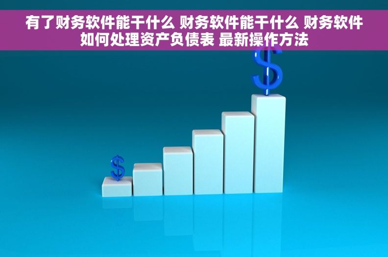 有了财务软件能干什么 财务软件能干什么 财务软件如何处理资产负债表 最新操作方法