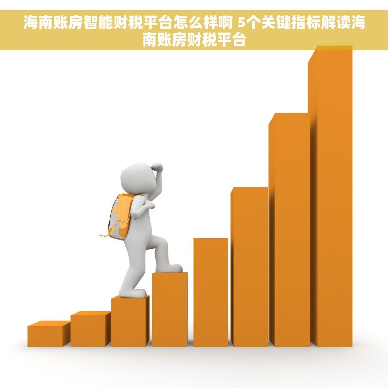 海南账房智能财税平台怎么样啊 5个关键指标解读海南账房财税平台