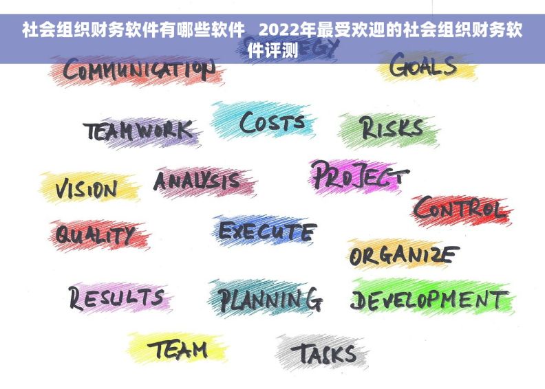 社会组织财务软件有哪些软件   2022年最受欢迎的社会组织财务软件评测