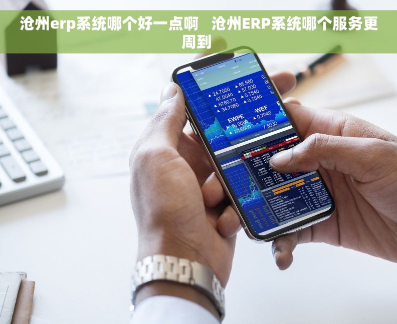 沧州erp系统哪个好一点啊   沧州ERP系统哪个服务更周到 