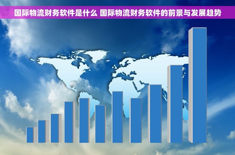 国际物流财务软件是什么 国际物流财务软件的前景与发展趋势