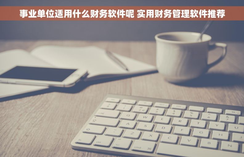 事业单位适用什么财务软件呢 实用财务管理软件推荐