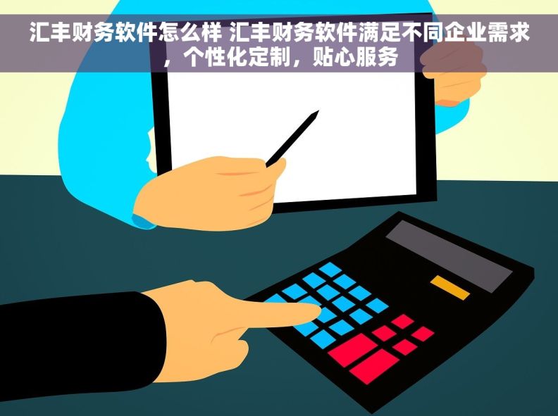 汇丰财务软件怎么样 汇丰财务软件满足不同企业需求，个性化定制，贴心服务