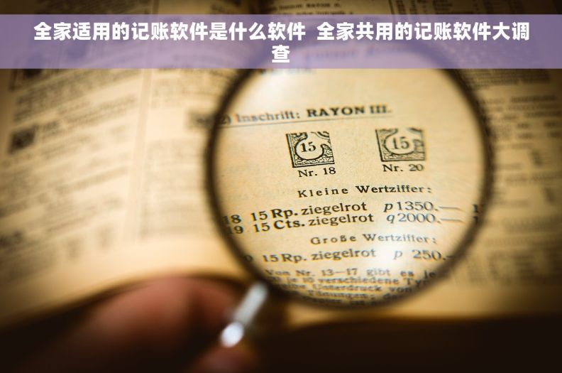全家适用的记账软件是什么软件  全家共用的记账软件大调查