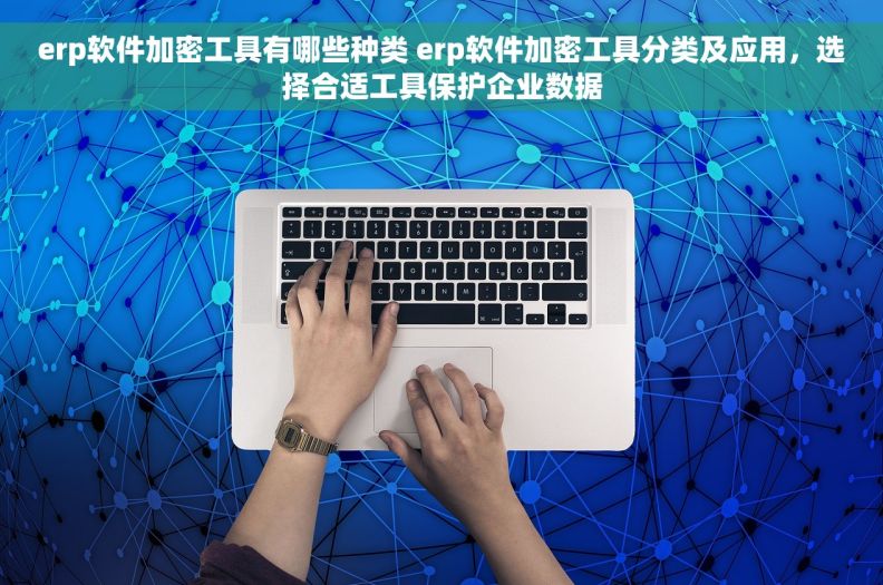 erp软件加密工具有哪些种类 erp软件加密工具分类及应用，选择合适工具保护企业数据