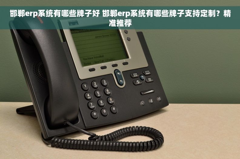 邯郸erp系统有哪些牌子好 邯郸erp系统有哪些牌子支持定制？精准推荐