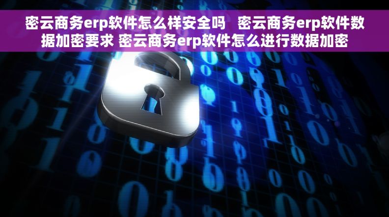 密云商务erp软件怎么样安全吗   密云商务erp软件数据加密要求 密云商务erp软件怎么进行数据加密