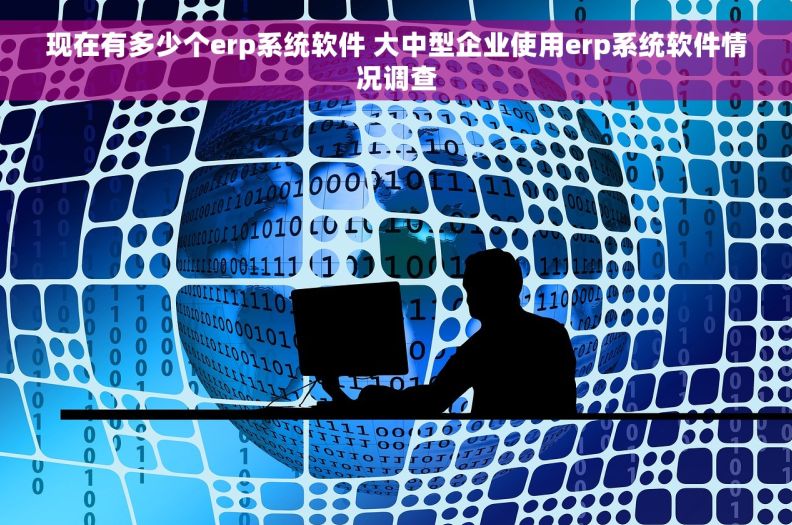 现在有多少个erp系统软件 大中型企业使用erp系统软件情况调查