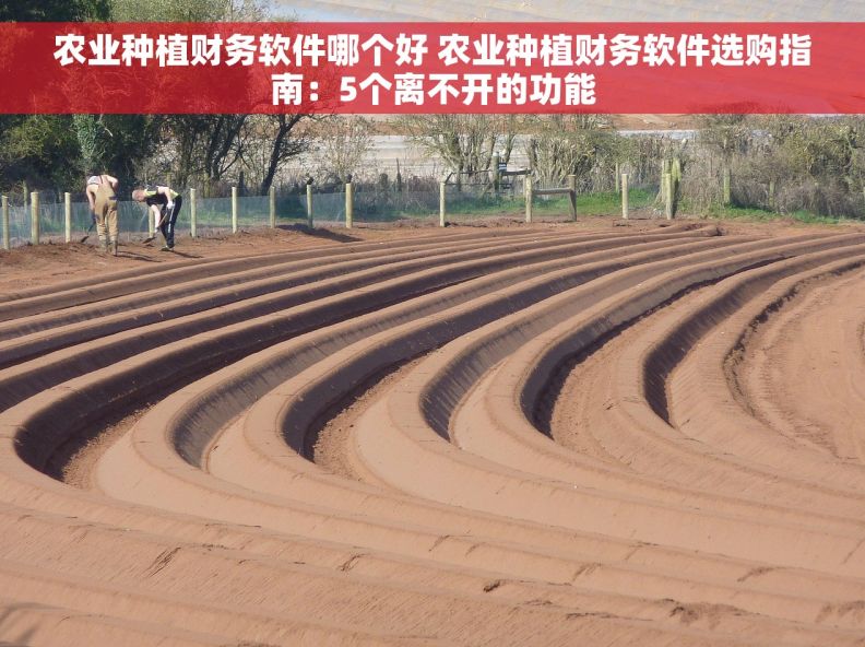 农业种植财务软件哪个好 农业种植财务软件选购指南：5个离不开的功能
