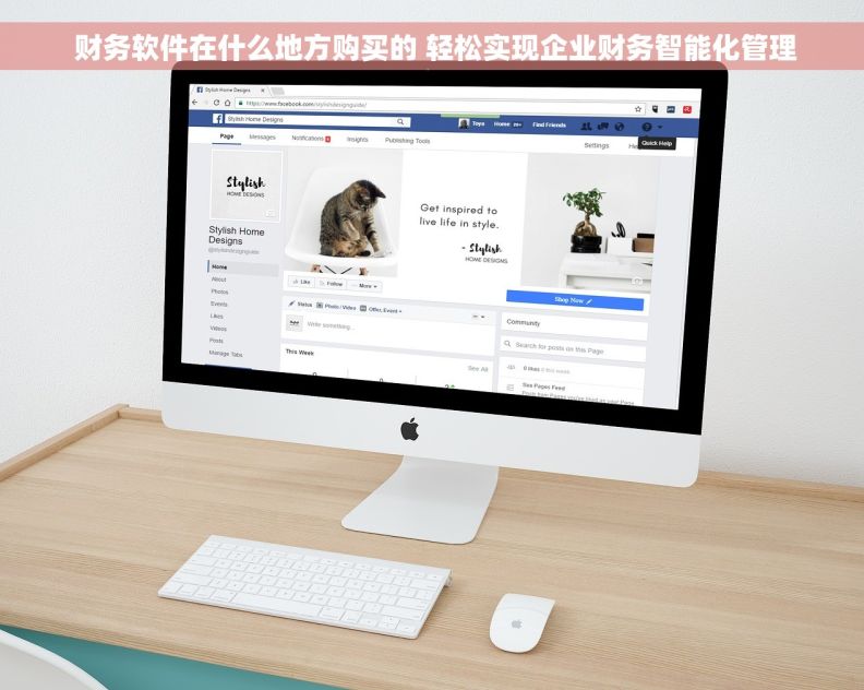  财务软件在什么地方购买的 轻松实现企业财务智能化管理