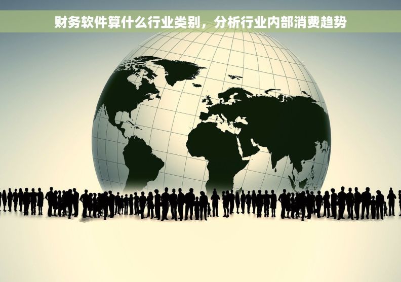 财务软件算什么行业类别，分析行业内部消费趋势