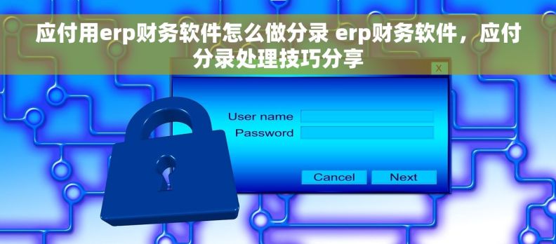 应付用erp财务软件怎么做分录 erp财务软件，应付分录处理技巧分享