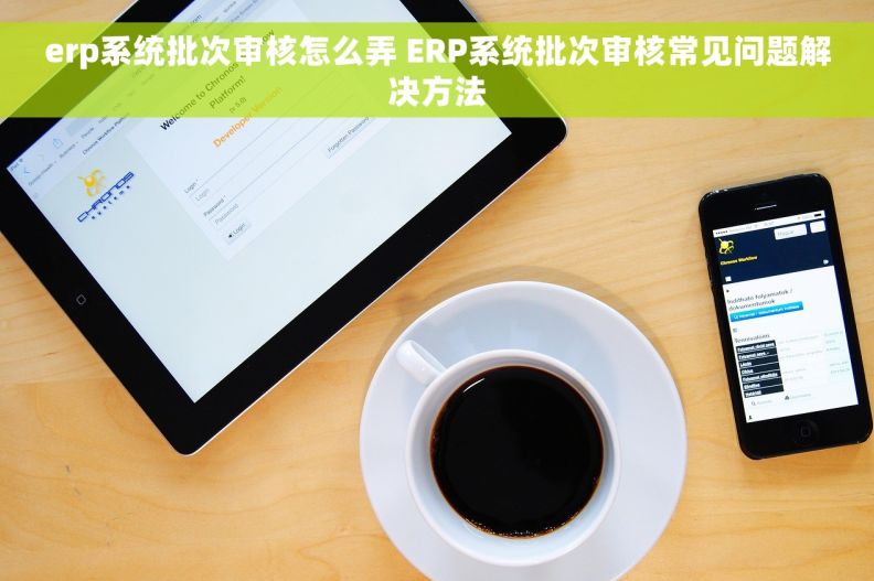 erp系统批次审核怎么弄 ERP系统批次审核常见问题解决方法