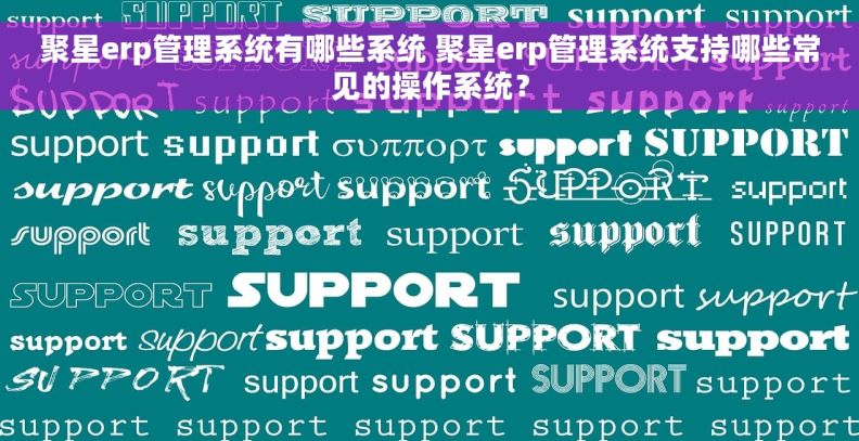 聚星erp管理系统有哪些系统 聚星erp管理系统支持哪些常见的操作系统？