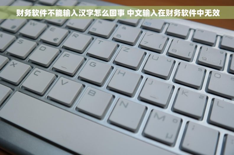  财务软件不能输入汉字怎么回事 中文输入在财务软件中无效
