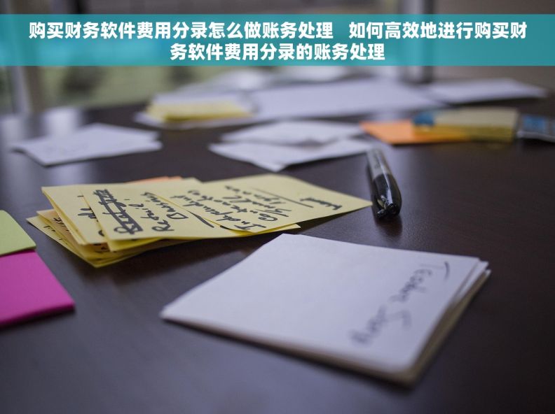 购买财务软件费用分录怎么做账务处理   如何高效地进行购买财务软件费用分录的账务处理