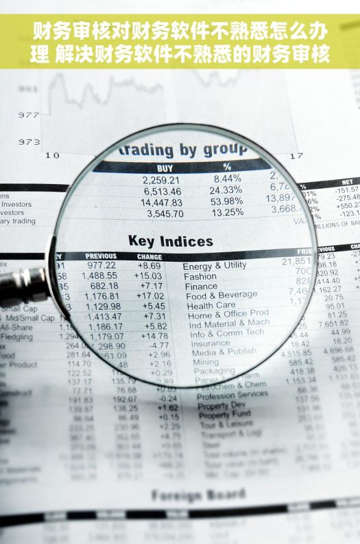财务审核对财务软件不熟悉怎么办理 解决财务软件不熟悉的财务审核困难