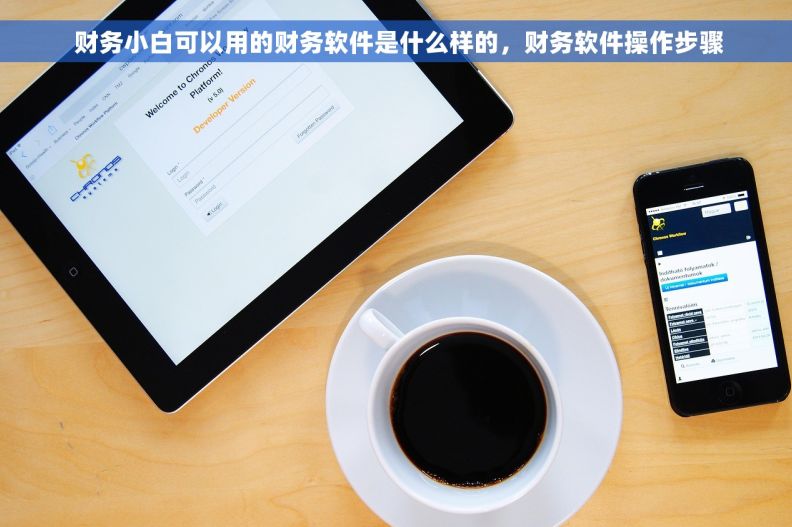  财务小白可以用的财务软件是什么样的，财务软件操作步骤