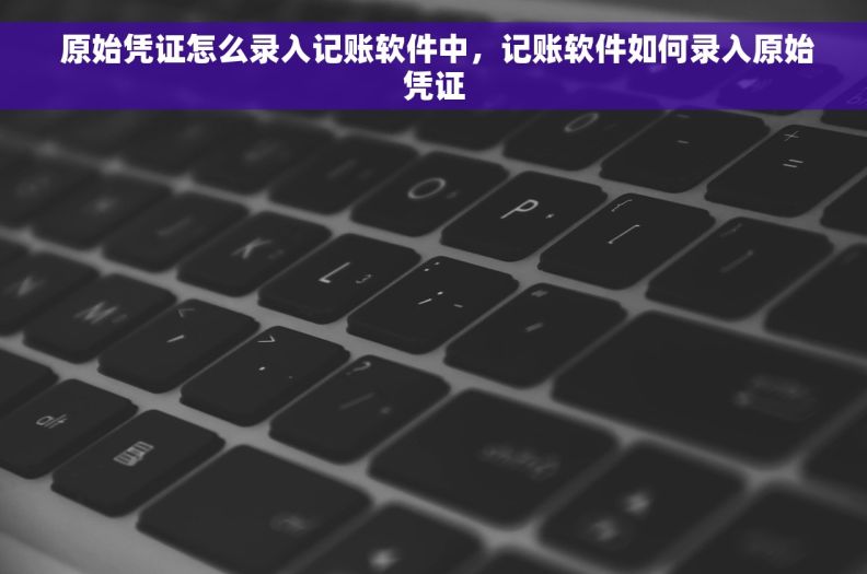  原始凭证怎么录入记账软件中，记账软件如何录入原始凭证