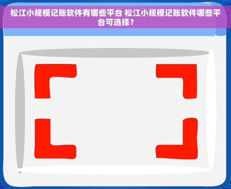 松江小规模记账软件有哪些平台 松江小规模记账软件哪些平台可选择？