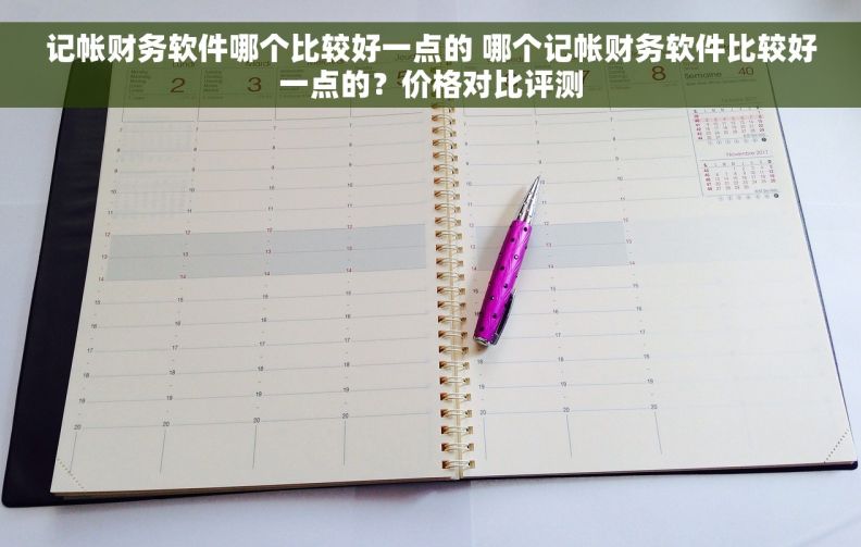 记帐财务软件哪个比较好一点的 哪个记帐财务软件比较好一点的？价格对比评测