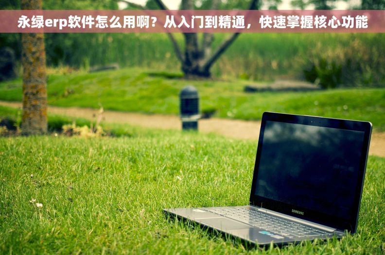 永绿erp软件怎么用啊？从入门到精通，快速掌握核心功能