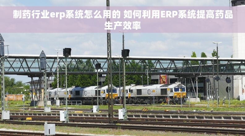 制药行业erp系统怎么用的 如何利用ERP系统提高药品生产效率