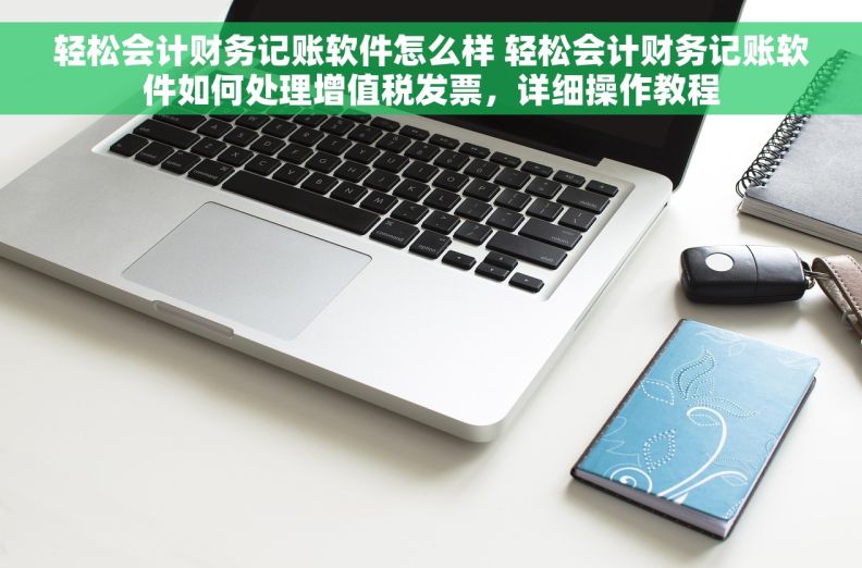 轻松会计财务记账软件怎么样 轻松会计财务记账软件如何处理增值税发票，详细操作教程