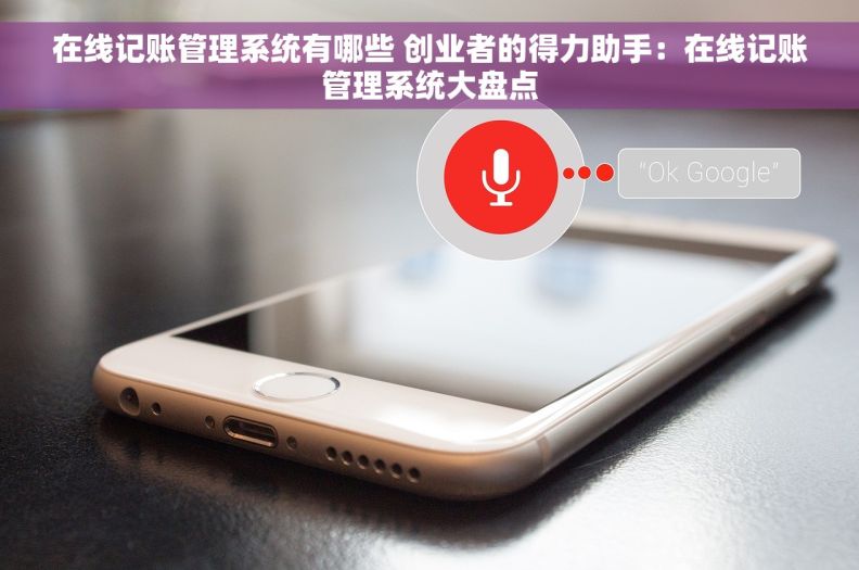 在线记账管理系统有哪些 创业者的得力助手：在线记账管理系统大盘点