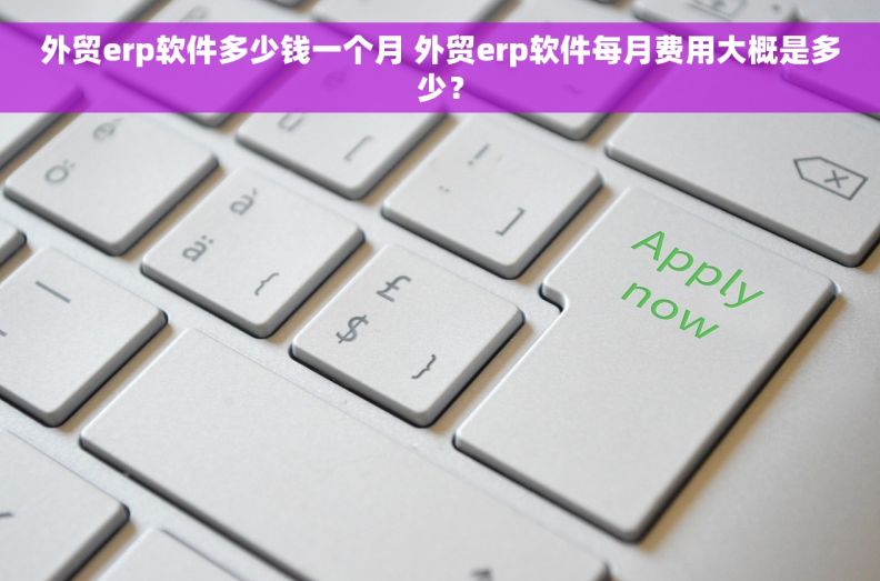 外贸erp软件多少钱一个月 外贸erp软件每月费用大概是多少？