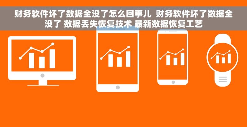 财务软件坏了数据全没了怎么回事儿  财务软件坏了数据全没了 数据丢失恢复技术 最新数据恢复工艺