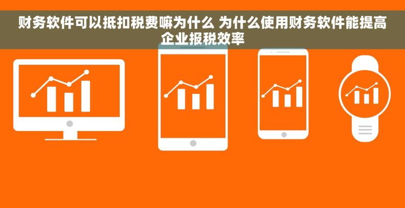 财务软件可以抵扣税费嘛为什么 为什么使用财务软件能提高企业报税效率
