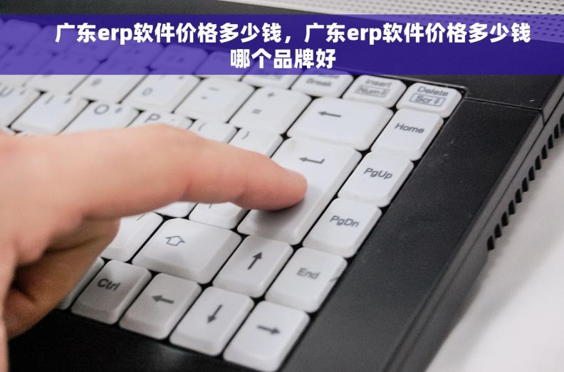     广东erp软件价格多少钱，广东erp软件价格多少钱哪个品牌好