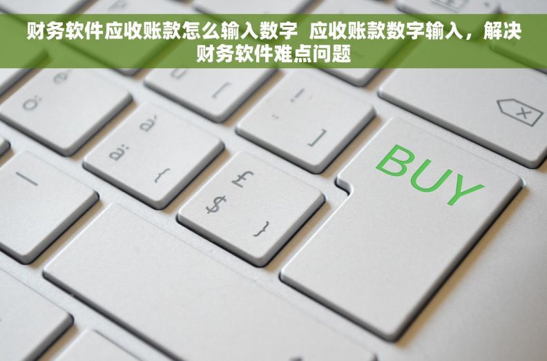 财务软件应收账款怎么输入数字  应收账款数字输入，解决财务软件难点问题