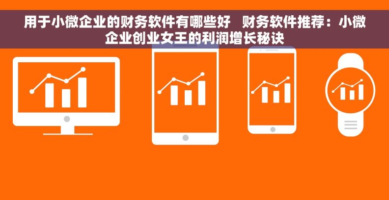 用于小微企业的财务软件有哪些好   财务软件推荐：小微企业创业女王的利润增长秘诀