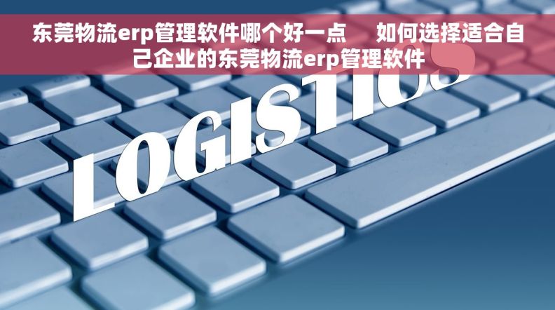 东莞物流erp管理软件哪个好一点     如何选择适合自己企业的东莞物流erp管理软件