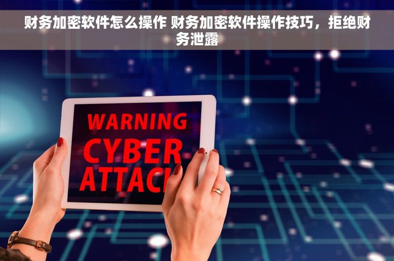 财务加密软件怎么操作 财务加密软件操作技巧，拒绝财务泄露