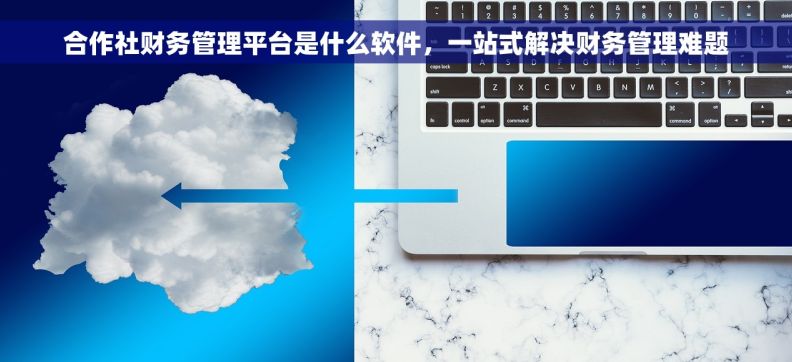 合作社财务管理平台是什么软件，一站式解决财务管理难题