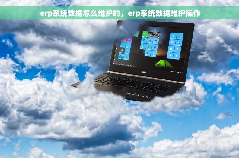  erp系统数据怎么维护的，erp系统数据维护操作