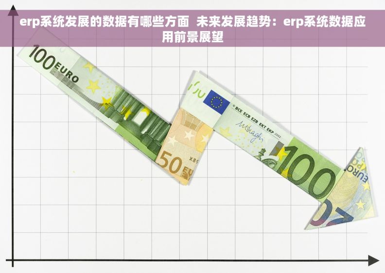 erp系统发展的数据有哪些方面  未来发展趋势：erp系统数据应用前景展望