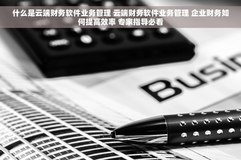 什么是云端财务软件业务管理 云端财务软件业务管理 企业财务如何提高效率 专家指导必看