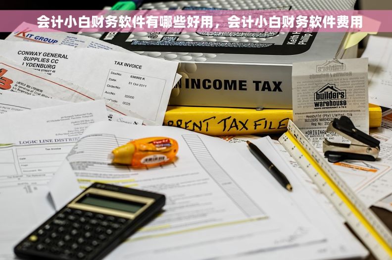   会计小白财务软件有哪些好用，会计小白财务软件费用