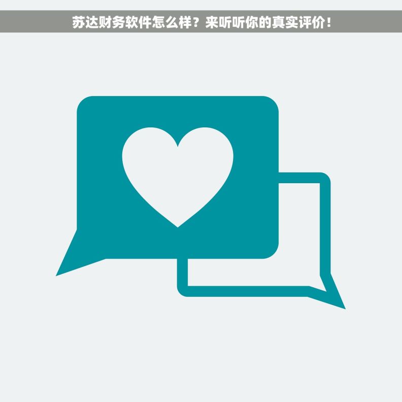 苏达财务软件怎么样？来听听你的真实评价！