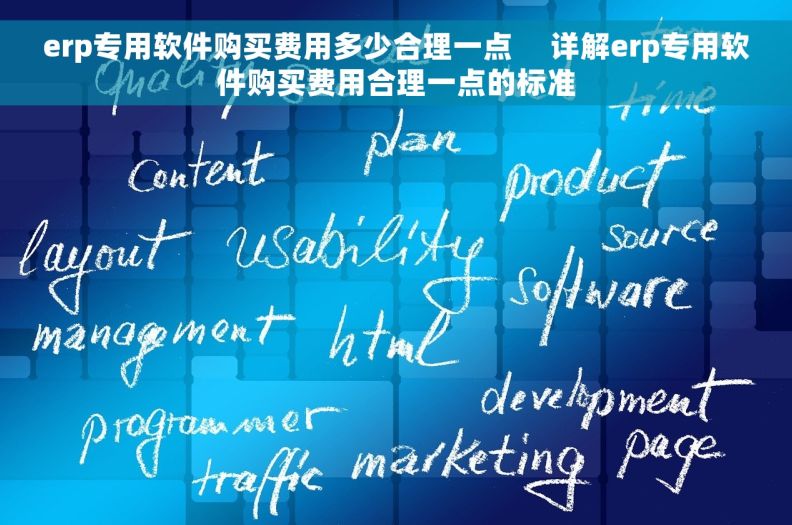 erp专用软件购买费用多少合理一点     详解erp专用软件购买费用合理一点的标准