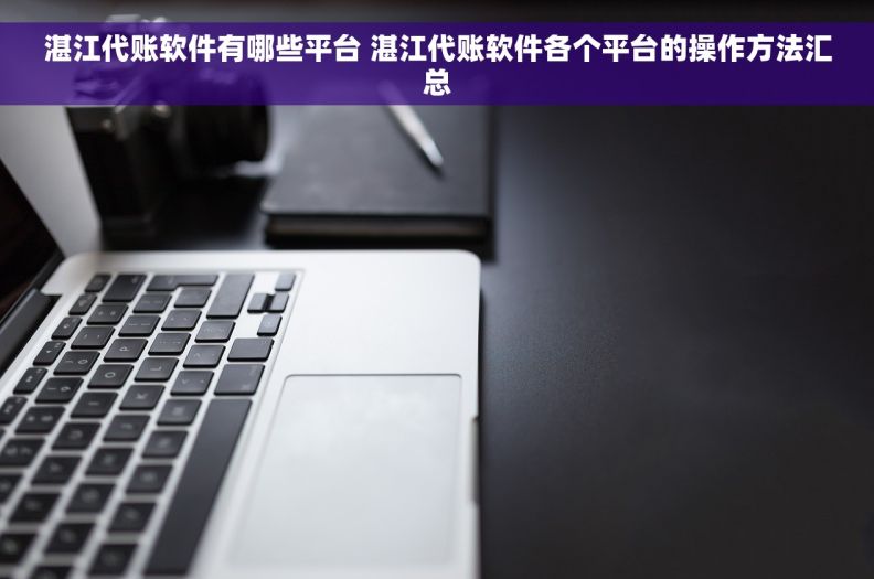 湛江代账软件有哪些平台 湛江代账软件各个平台的操作方法汇总