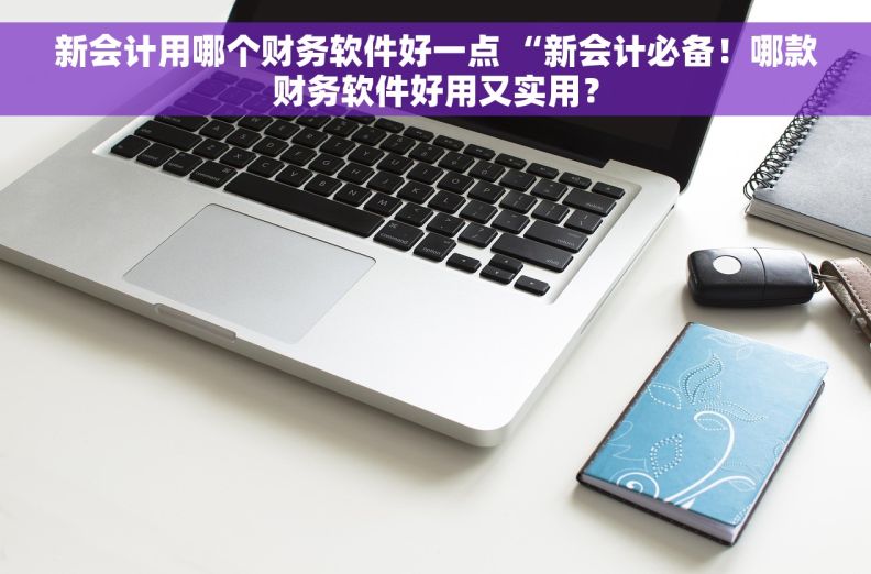 新会计用哪个财务软件好一点 “新会计必备！哪款财务软件好用又实用？