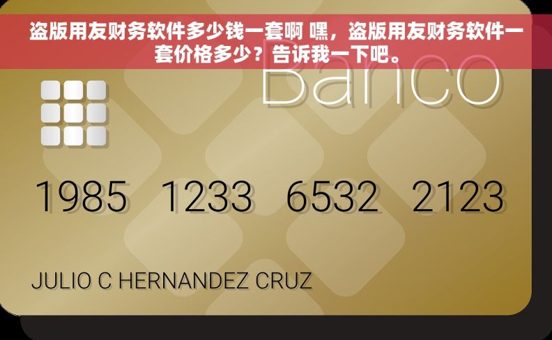 盗版用友财务软件多少钱一套啊 嘿，盗版用友财务软件一套价格多少？告诉我一下吧。